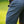 Load image into Gallery viewer, Men's Ace Shorts- Grey