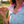 Load image into Gallery viewer, Women's Mulligan Mingos Polo