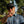 Load image into Gallery viewer, Lifestyle 2.0 Blackout Snapback