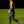 Load image into Gallery viewer, Women's Ace Pant- Black